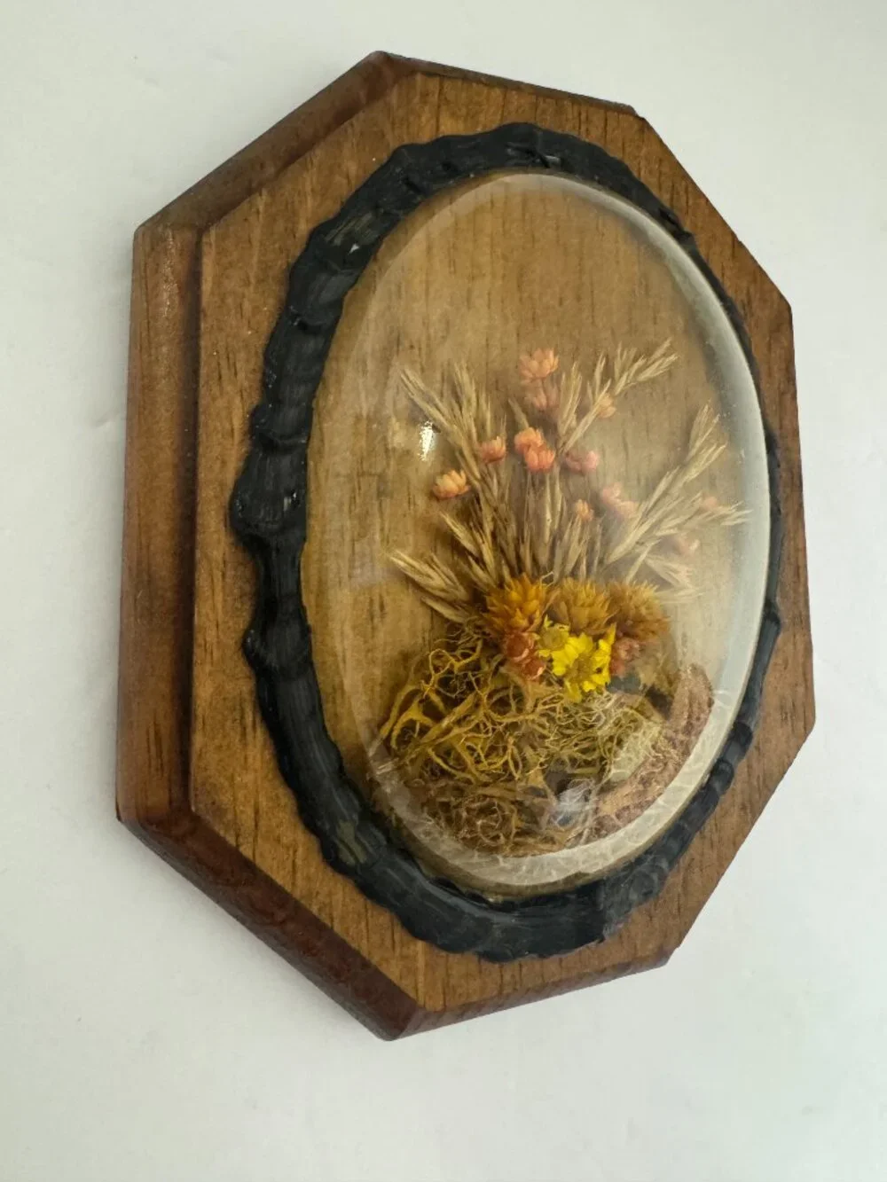 Vintage Dried Flowers Wall Hanging Art Convex Bubble Glass Wood Plaque.